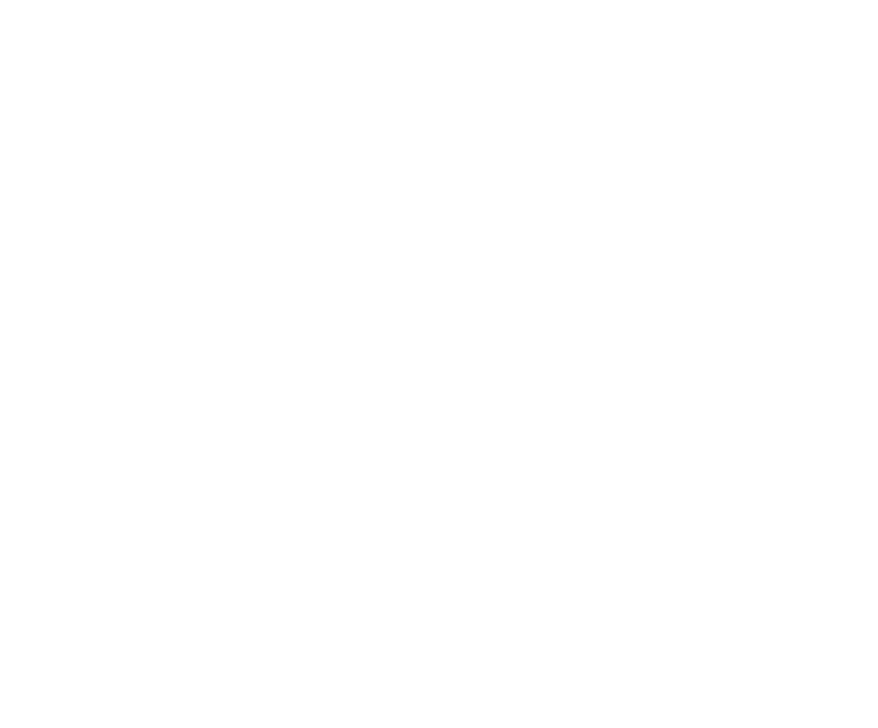 RT-Nest Logo